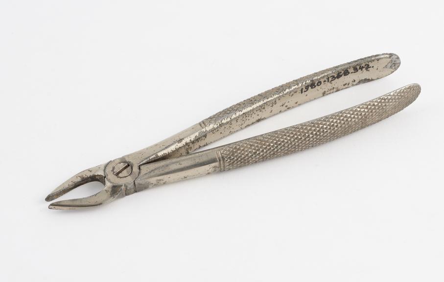 Dental forceps, pattern 29 for upper roots, nickel plated steel