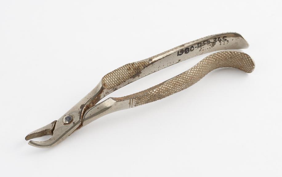 Dental forceps, pattern 117, Steynor's for upper roots