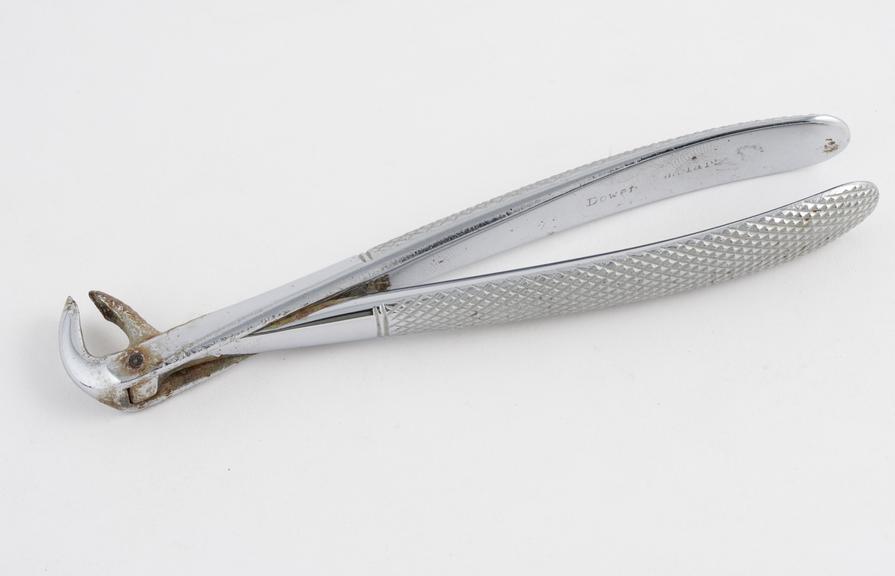 Dental forceps, hawk's bill, for lower molars, No