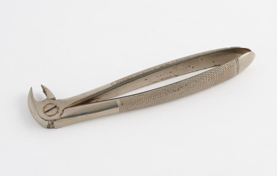 Dental forceps, hawk's bill, for lower molars