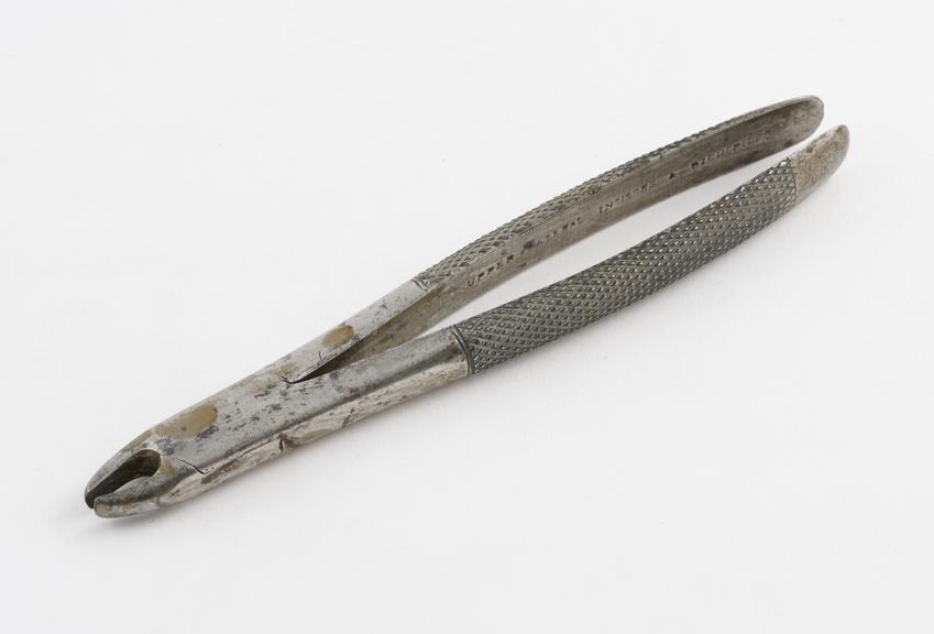 Dental forceps, for upper lateral incisors and bicuspids, steel