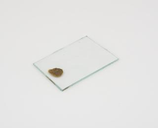 Rectangular plate with brown substance adhered to one side