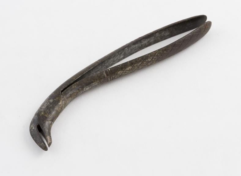 Dental forceps, hawk's bill, steel, by Helfrich, Austria(?)