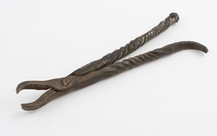 Dental forceps, for upper anteriors, steel, Europe, 1650-1800