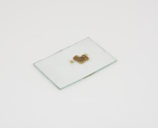 Rectangular plate with brown substance adhered to one side