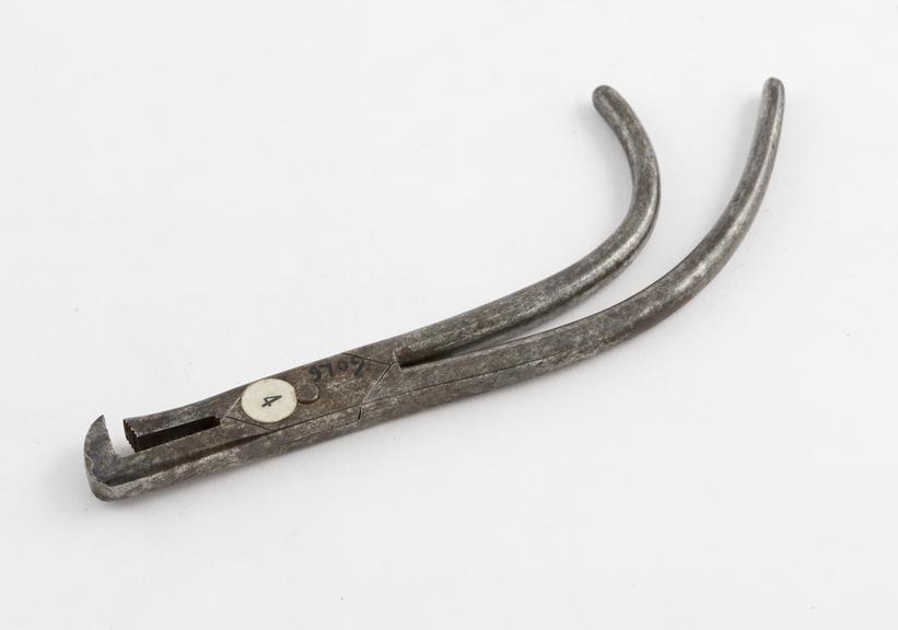 Dental forceps, parrot's beak, steel, Europe, 1601-1750