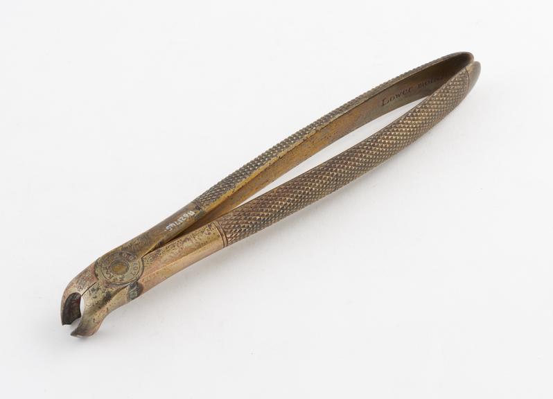 Dental forceps, for lower molars, gilt steel, by Eurard, London