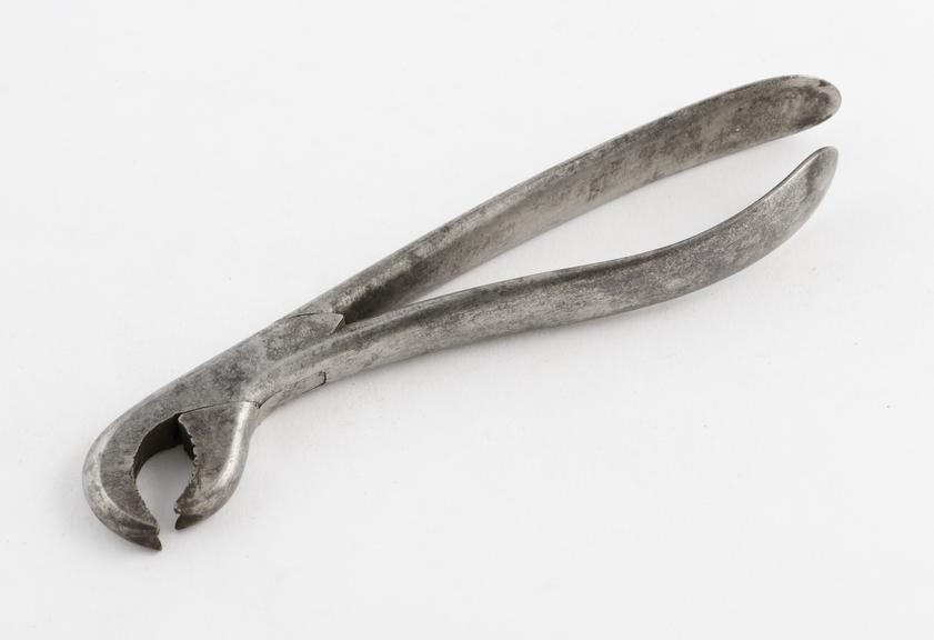 Dental forceps, parrot's beak, steel, probably French, 1740-1820