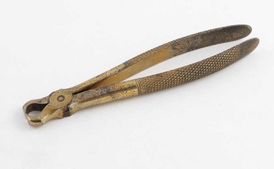 Dental forceps, upper excising, gilt steel, by Smale, England