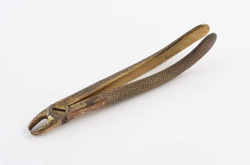 Dental forceps, upper excising, gilt steel, by Eruard, London