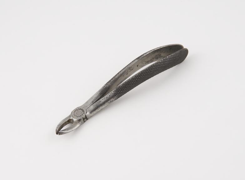 Dental forceps, for upper right bicuspids, steel