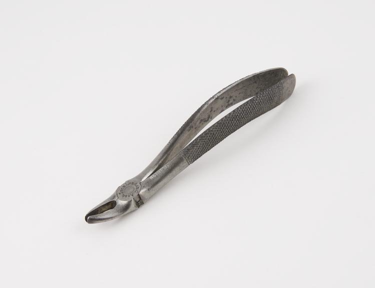 Dental forceps, for upper bicuspids, steel, by C