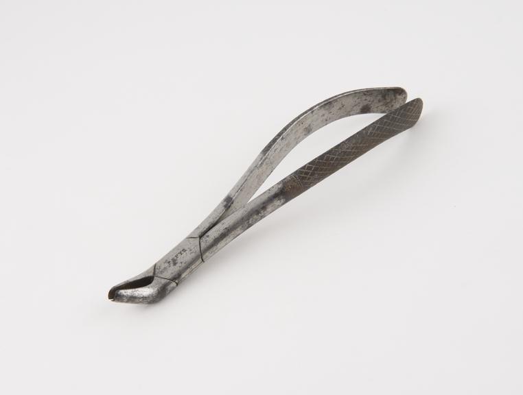 Dental forceps, for upper bicuspids, steel, by Pepys, london