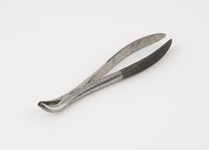 Dental forceps, for lower bicuspids, steel, by Capron, France