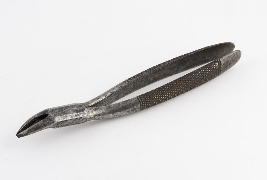 Dental forceps, American pattern no