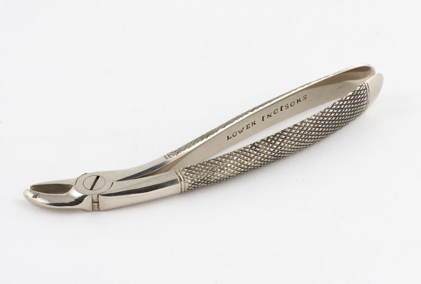 Dental forceps, hawk's bill, for lower incisors