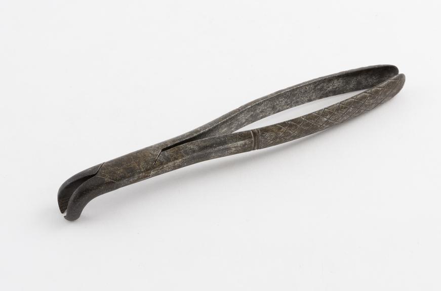 Dental forceps, for lower, steel, by Helfrich, Europe, 1820-1870