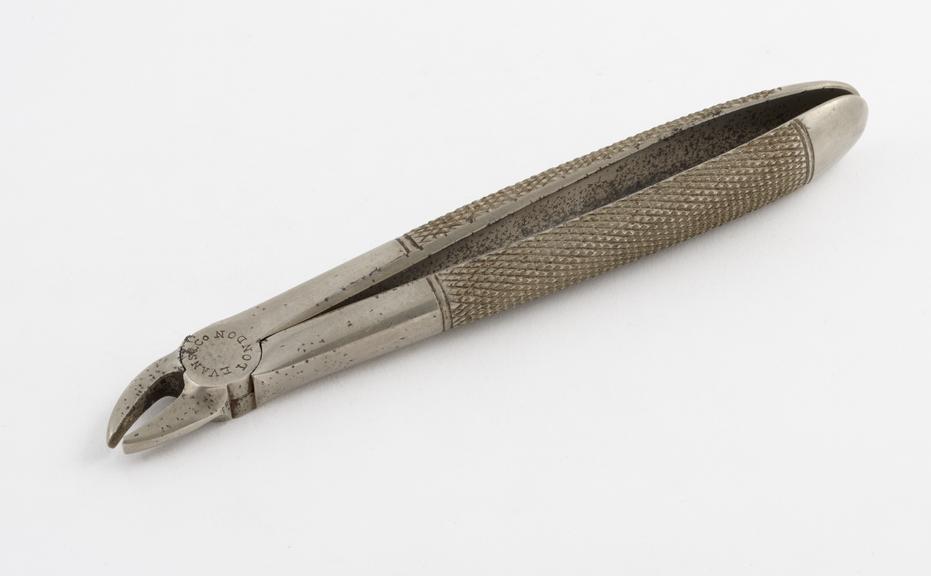 Dental forceps, No.1, hawk's bill