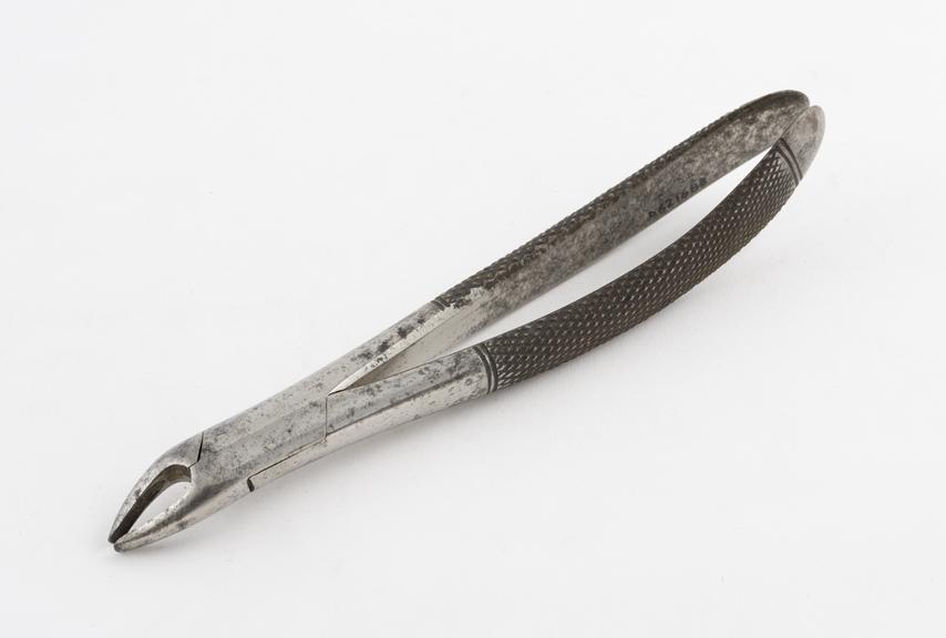 Dental forceps, for upper bicuspids, steel, by Gardner