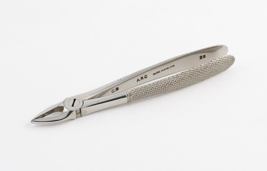 Dental forceps, No.29, for upper roots, stainless steel