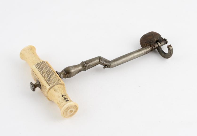 Dental key, double bend with adjustable claw, steel with ivory