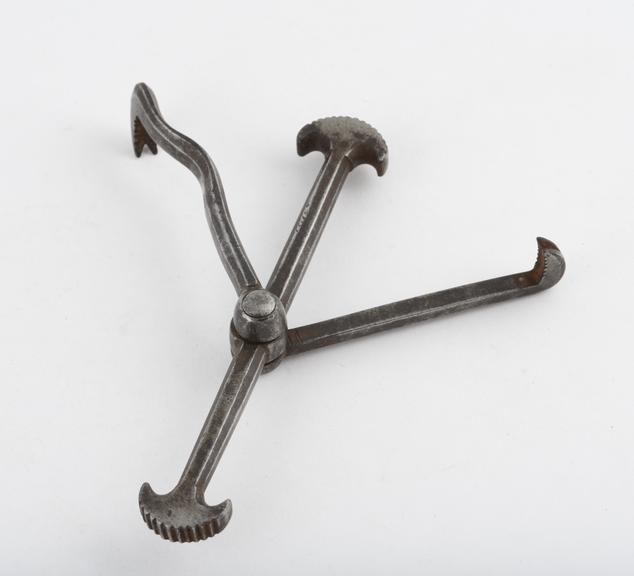 Dental pelican, double ended, two claws, steel, probably French