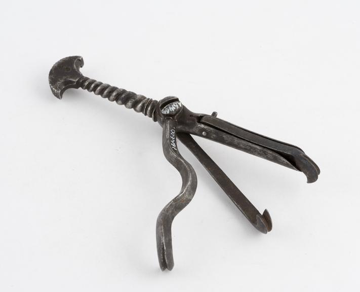 Dental pelican, two claws, with Zanner type combination, steel