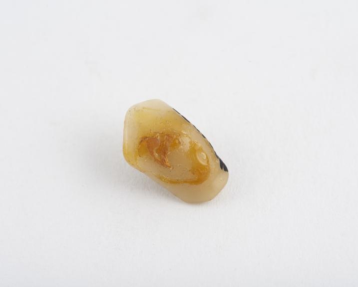 False tooth, canine, porcelain with two platinum pins, English