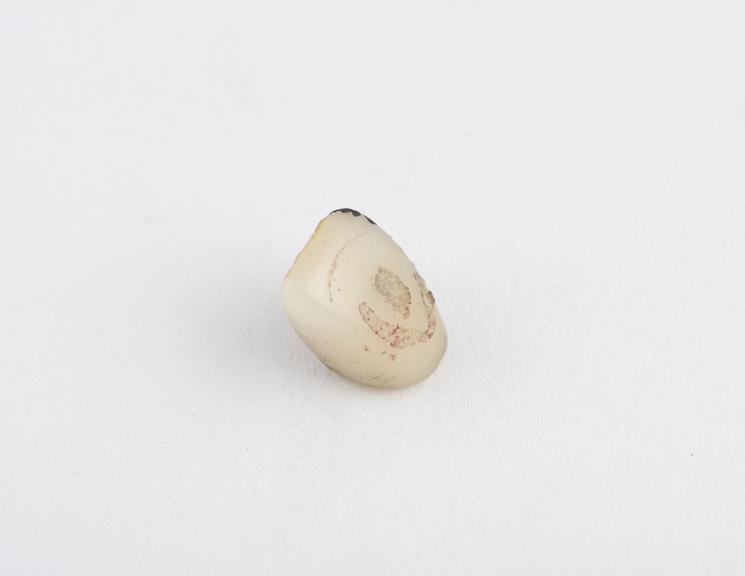 False tooth, pinned and slotted, anterior, porcelain