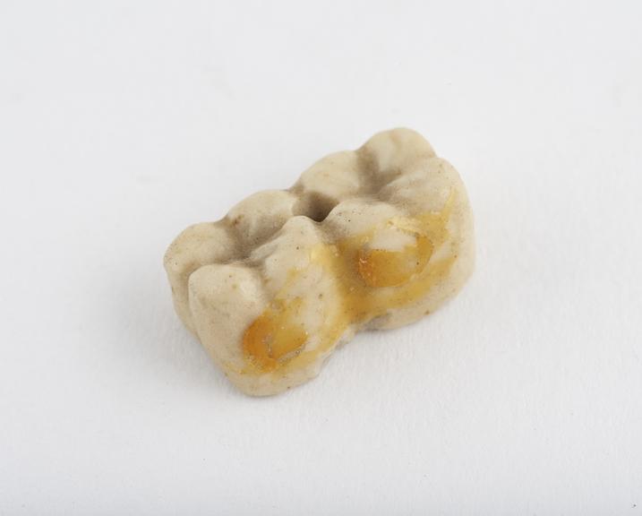 False tooth, posterior tube block of two, porcelain, English