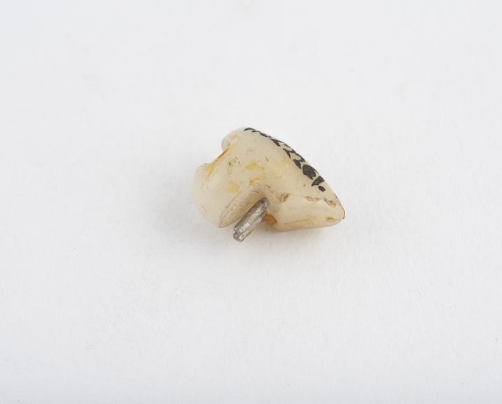 False tooth, bicuspid, porcelain with two platinum pins