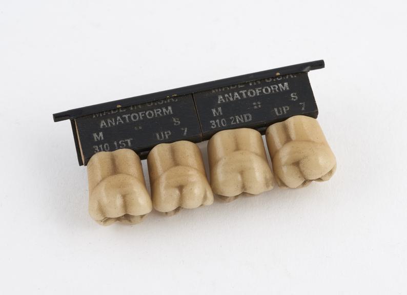 Set of 4 Anatoform' upper posterior tube teeth