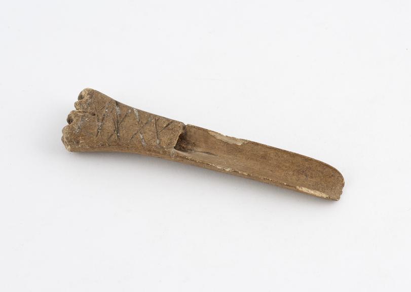 Apple scoop carved from bone, European, possibly English