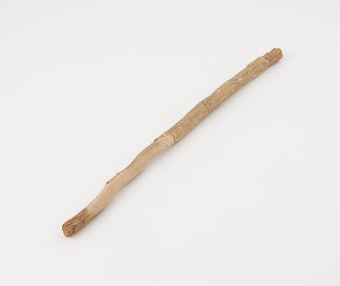 Toothbrush, frayed stick, North African, 1890-1930