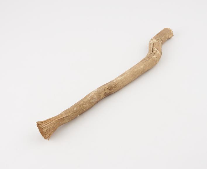 Toothbrush, frayed stick, Turkish, 1890-1930