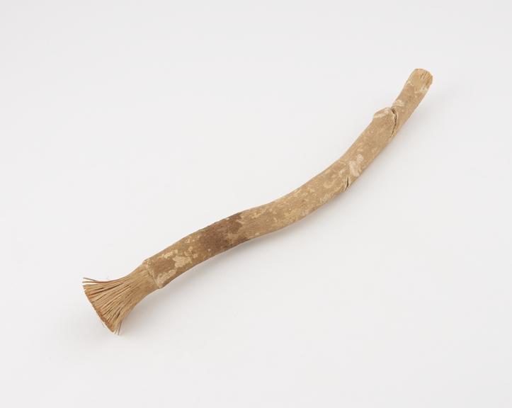 Toothbrush, frayed stick, 1890-1930