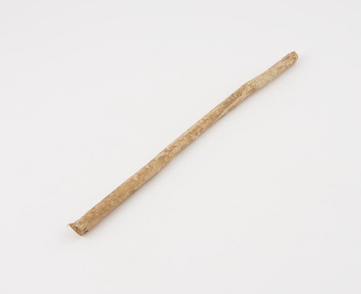 Toothbrush, stick, 1890-1930