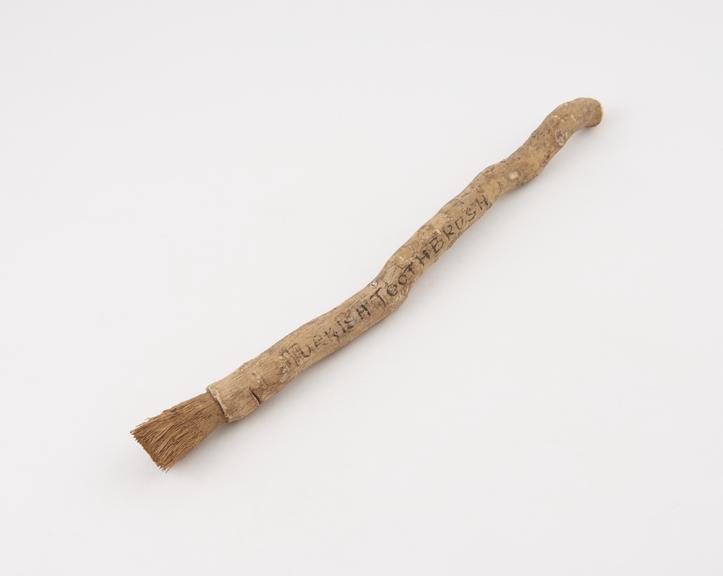 Toothbrush, frayed stick, Turkish, 1890-1931 | Science Museum Group ...