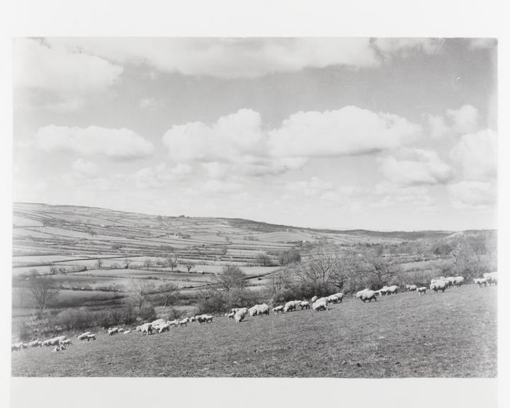 Silver gelatin print, by John Dixon-Scott