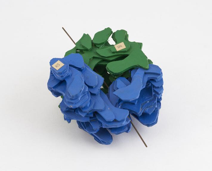 Balsa wood model of histone (blue and green) made at the