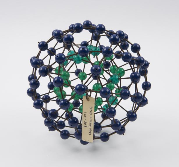 Ball and spoke model of turnip crinkle virus