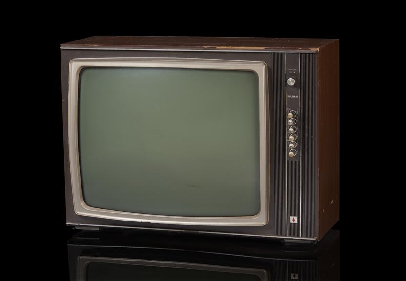 Bush TV 13D Dual standard Television Receiver