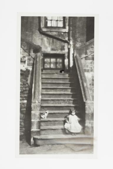 Girl and two cats on stairs