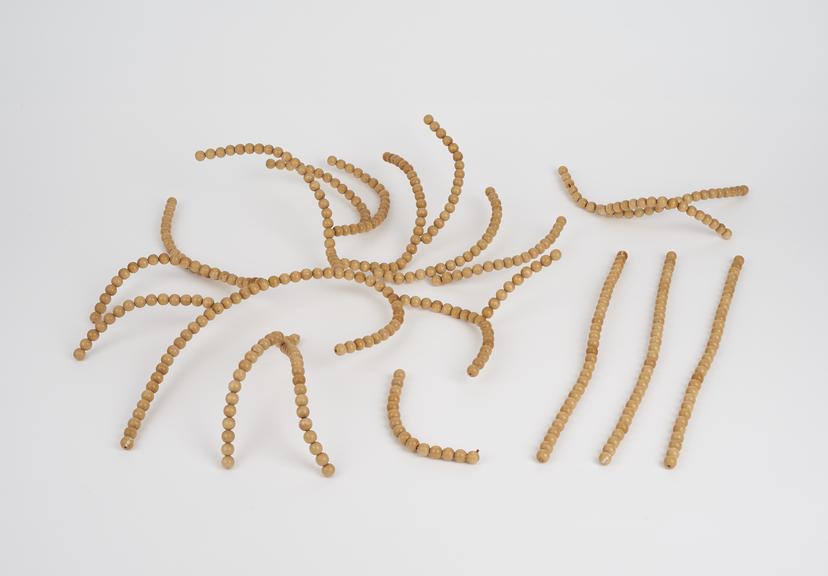 Models of polysaccharides showing glucose units: (i)