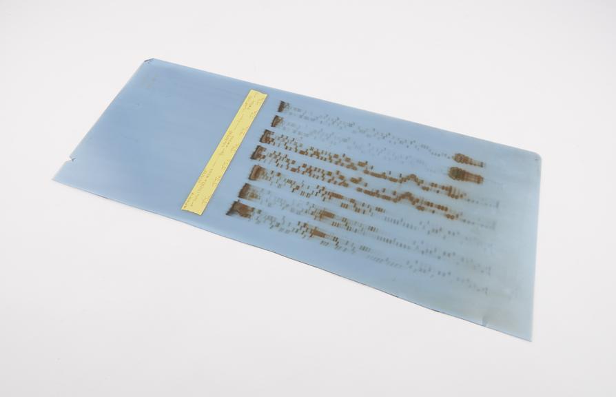 Autoradiograph of mitochondrial DNA, made by Dr