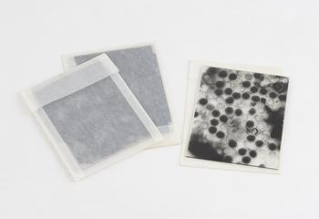 Glass Slides of Virus Structures by Dr June Almeida