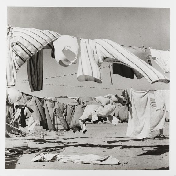 Clothes drying in the Western Desert