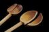 Group shot of 2021-429, Broken wooden spoon