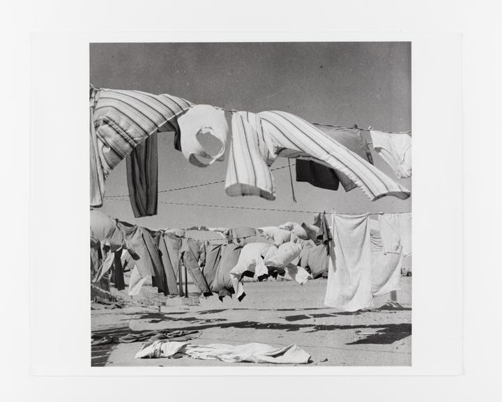 Clothes drying in the Western Desert