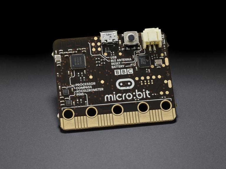BBC micro:bit computer memory